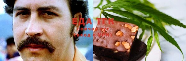 тгк Абаза