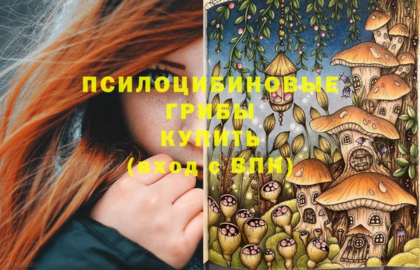 тгк Абаза