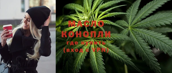 тгк Абаза