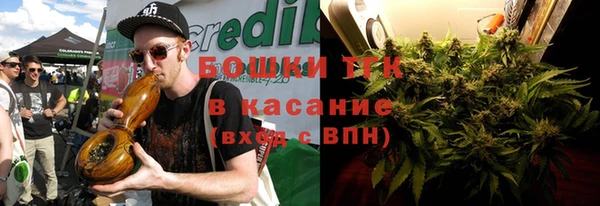 индика Алексин